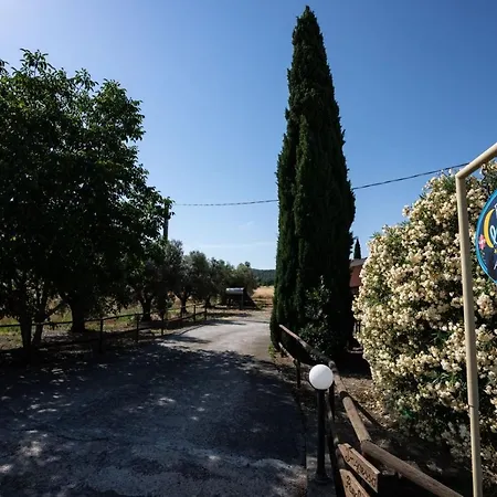 Agriturismo La Siesta Farm stay
